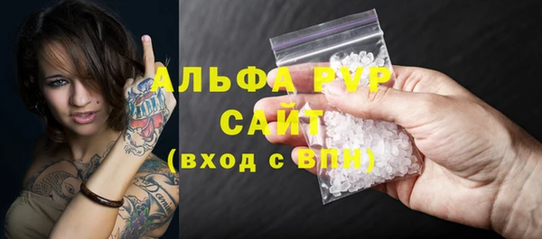 крисы Гусев