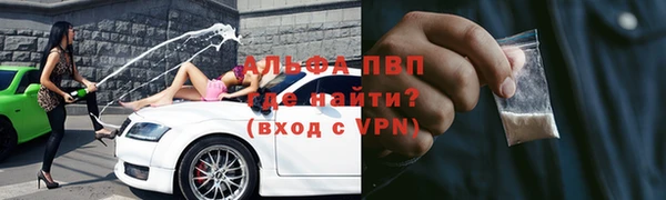 крисы Гусев