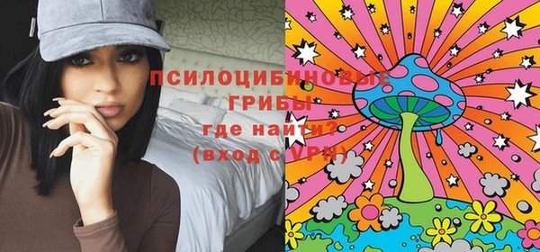 ешки Гусь-Хрустальный