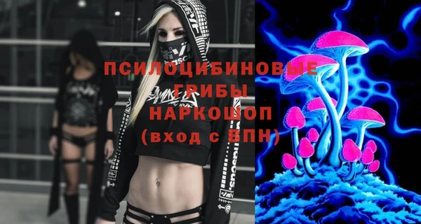 ешки Гусь-Хрустальный