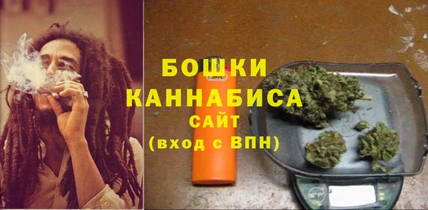 крисы Гусев